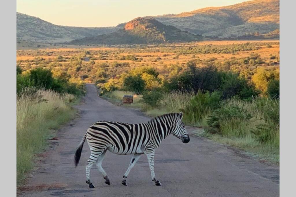 Rhino House With 3 Bedrooms Next To Pilanesberg And Sun City Mogwase 외부 사진