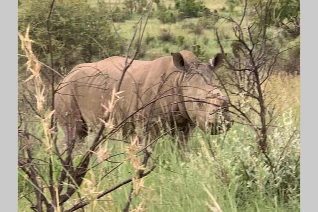 Rhino House With 3 Bedrooms Next To Pilanesberg And Sun City Mogwase 외부 사진